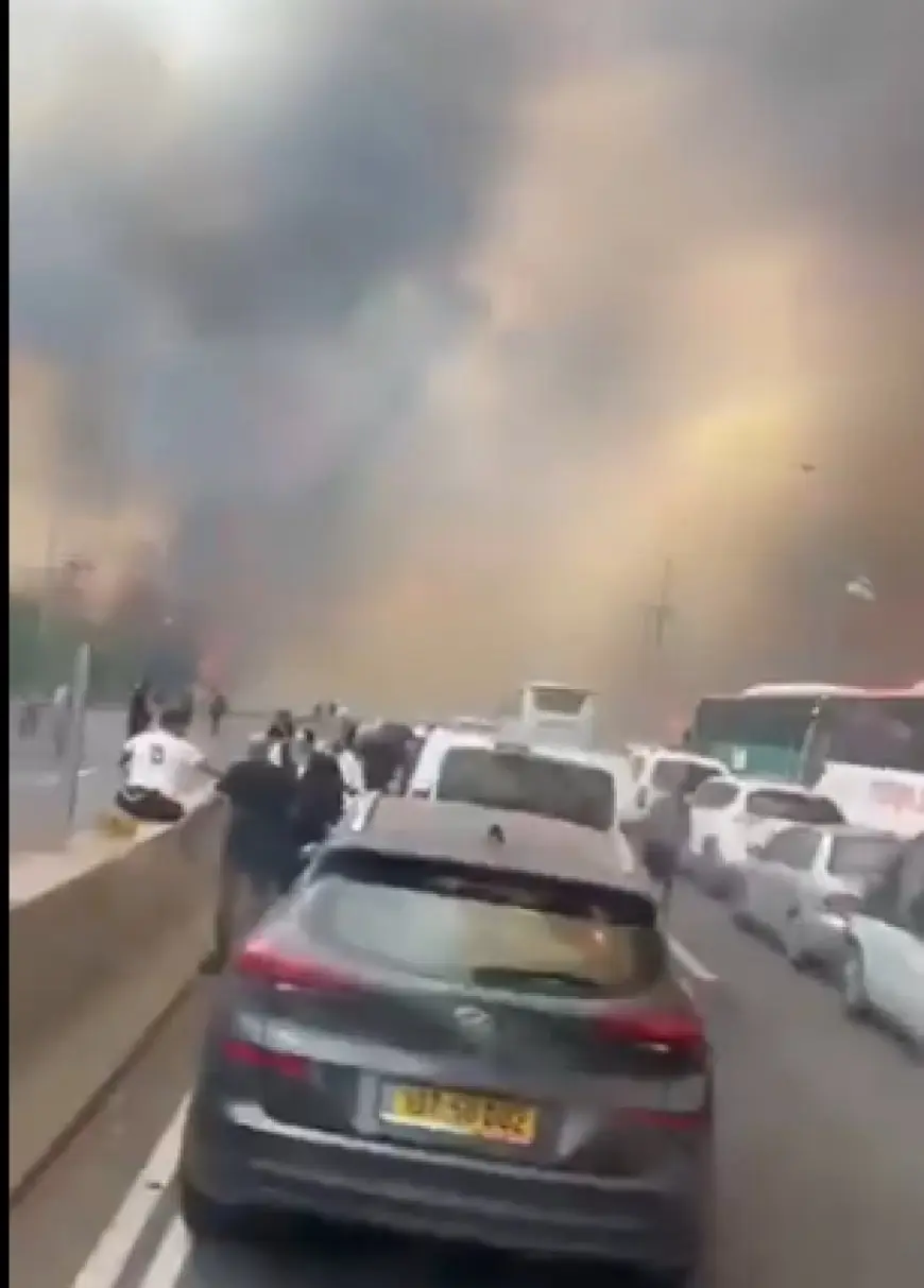 الحرائق تضرب إسرائيل.. وتستنجد بـ 50 فريق إطفاء و12 طائرة للسيطرة عليها