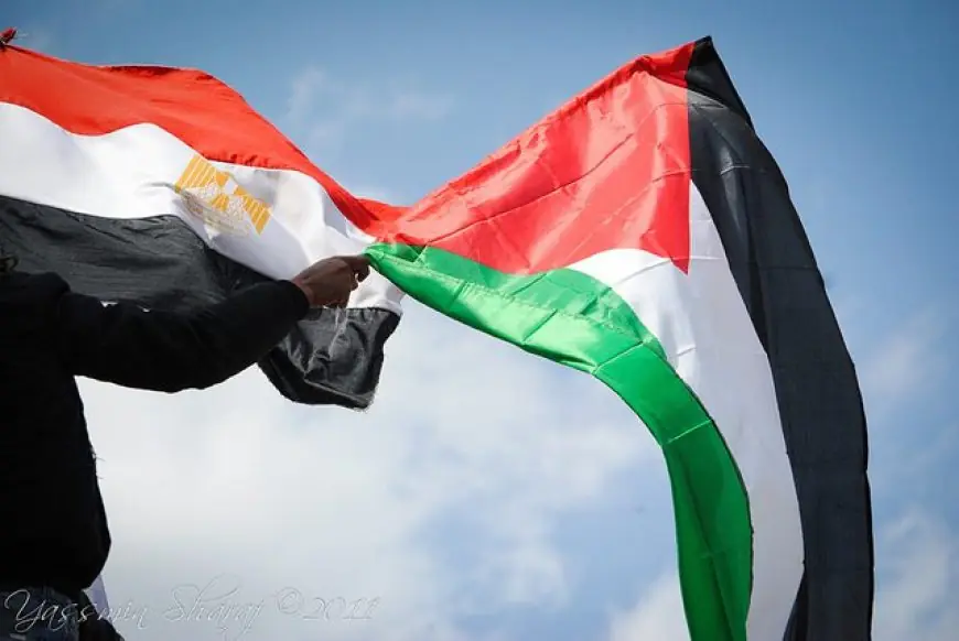 ممثلة مصر أمام محكمة العدل: أكثر من 40 دولة تؤيد حق الفلسطينيين في تقرير المصير