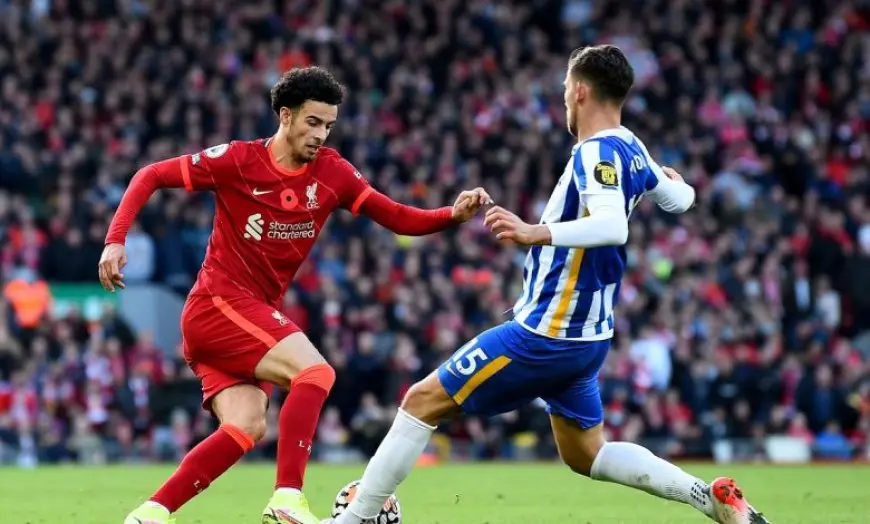 اليوم.. ليفربول «المتوج» يواجه برايتون في مباراة شكلية بالدوري الإنجليزي