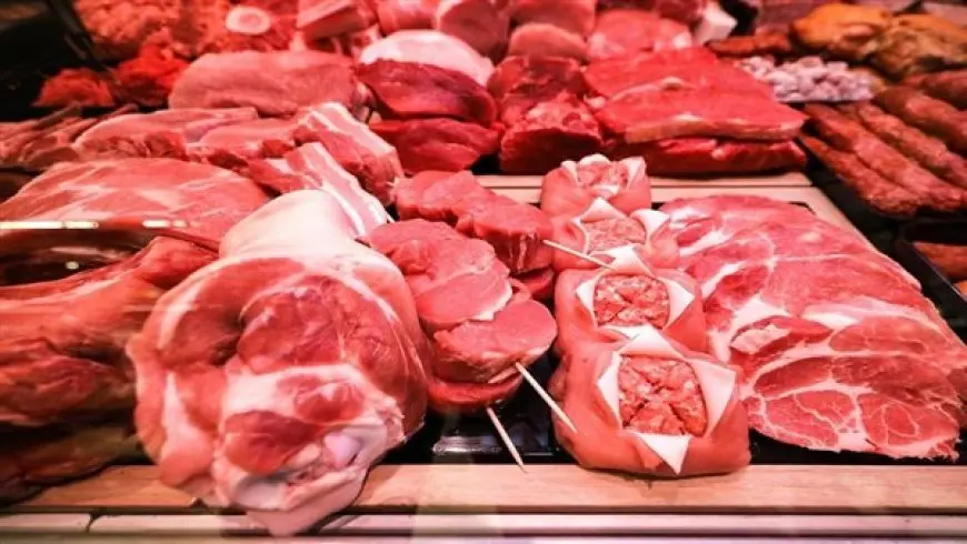 الكيلو يبدأ من 210 جنيهات.. التموين تطرح لحوم ودواجن في المنافذ قبل عيد الأضحى 2025