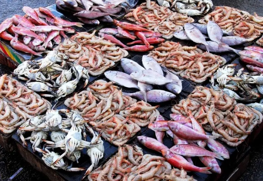 أسعار الأسماك اليوم السبت في سوق العبور.. الجمبري يبدأ بـ 420 جنيهًا